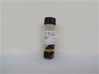 藏品(綠繡眼)的圖片